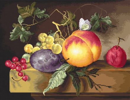 Luca-S Still Life borduren (pakket)