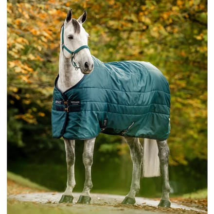 Amigo Insulator 200g Staldeken voor paard  Horseware