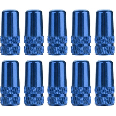 10 stuks Fiets Fiets Aluminiumlegering Band Frans Ventiel Beschermende Ventieldop(Blauw)