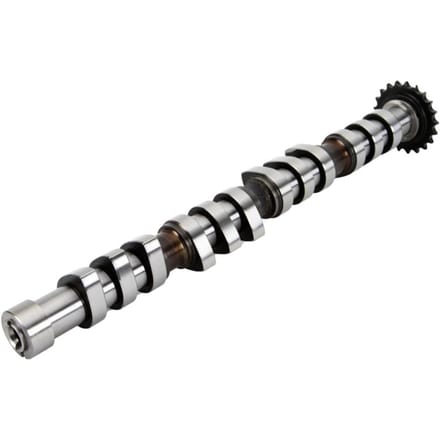 Nokkenas  AE CAM743