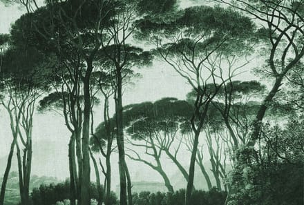 Fotobehang Treetops2 DD117880 A.S. Création Atelier 47 | Fotobehang