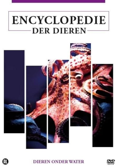 Dieren Onder Water