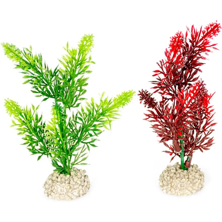 Aquarium planten decoratie Aqua Della Elodea Densa S