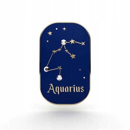 PINETS Aquarius Zodiak Pin - 14K Gouden Afwerking met Zirkoon