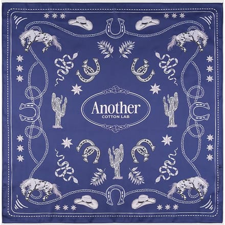Another Cotton Lab Rodeo Sjaal blauw