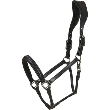 Leren halster voor paarden Catago Novi 25.2