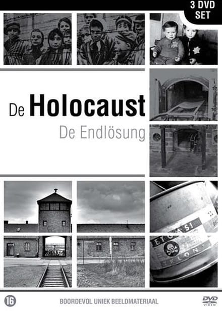 Holocaust (DVD)