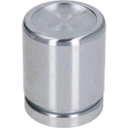 Zuiger, remklauw AUTOFREN SEINSA D025552, achter