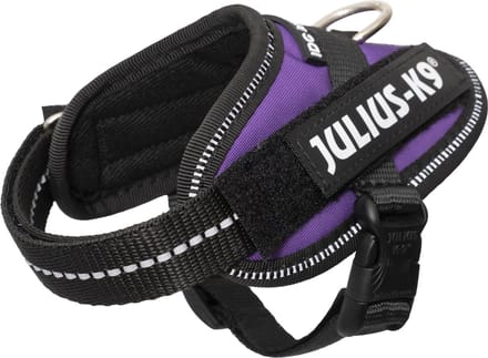 Julius-K9 IDC®Powertuig, 3XS - Baby1, Dark Purple