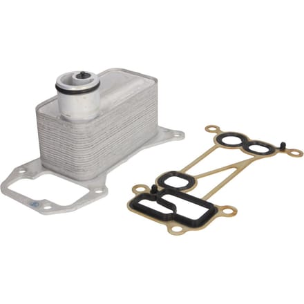 Olie radiator, motorolie THERMOTEC D4B019TT