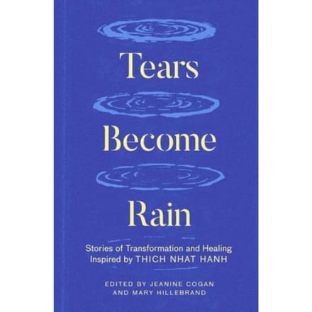 Tears Become Rain