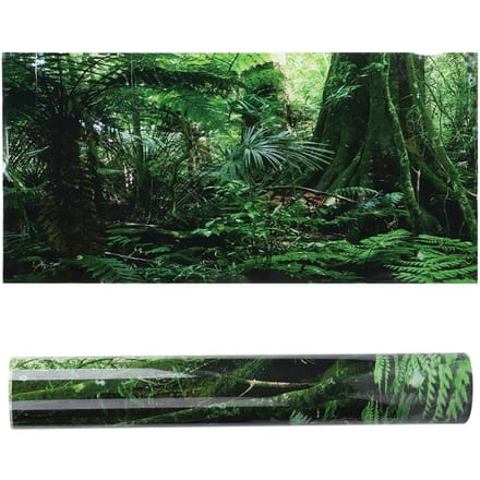 Boîte Reptile PVC Affiche Fond Forêt Tropicale Peinture Décoration Murale Aquarium Auto black