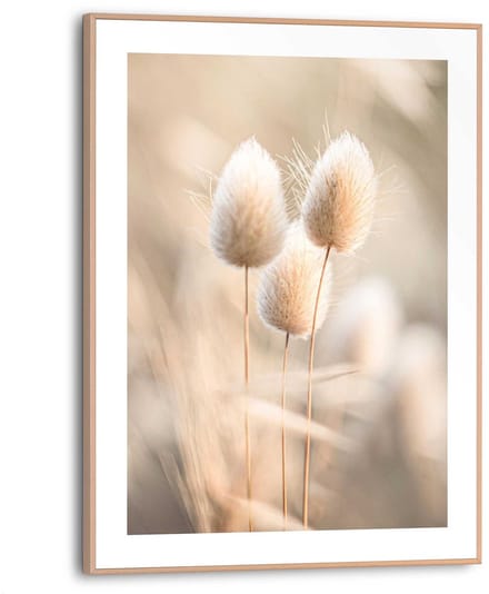 Schilderij Plumes - 40 x 30 - Hout - REINDERS