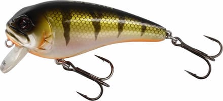 Westin Fatbite 5,5 Cm 8gr Floating Bling Perch
