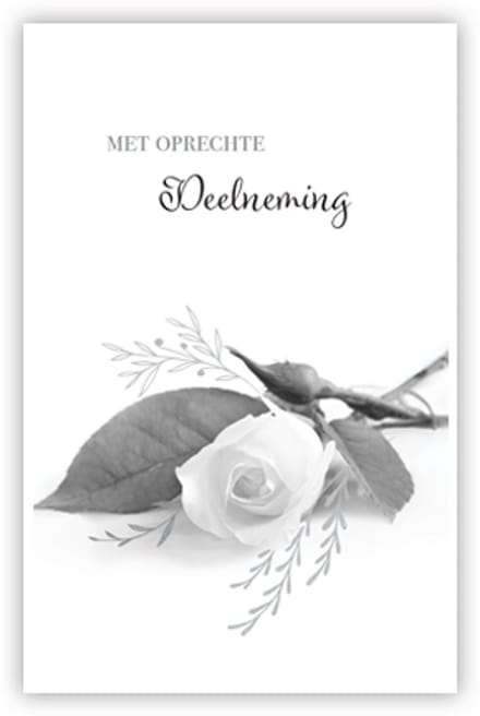 Condoleance kaart "Liggende witte roos"