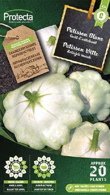 Protecta Groente zaden: Patisson Witte