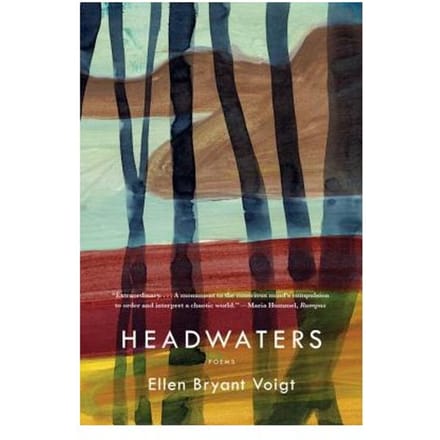 Headwaters - Voigt, Ellen Bryant