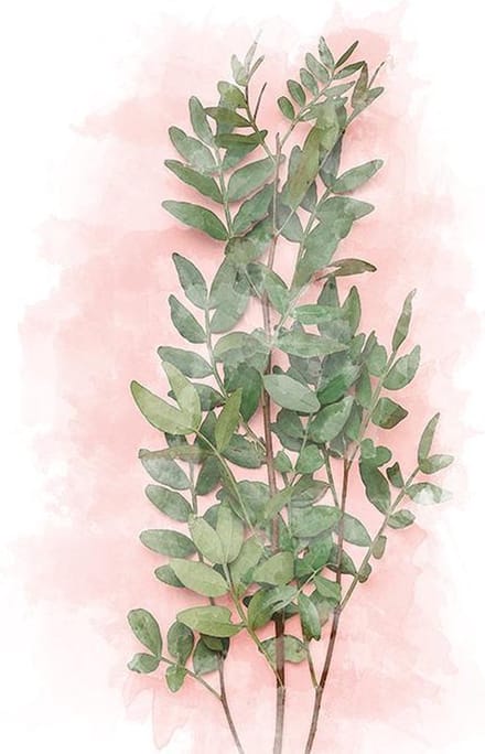 Poster Wilde Plant - 30x40 cm - Planten Poster - WALLLL