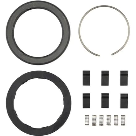 Ratchet-/veerkit voor naaf Zipp ZR1 (x6)