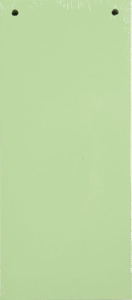 Exacompta 12x Pak van 100 horizontale tabstroken met perforatie 180g - 105x240mm - Groen - 13345B
