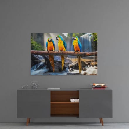 Glasschilderij - Vogels - Papegaaien - 72x46x0.4 cm