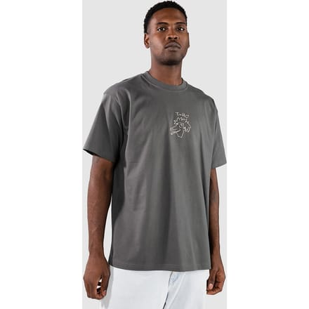 Iriedaily New Theory T-Shirt grijs