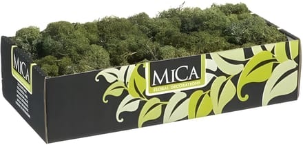 Mica Decorations Rendiermos - 500 gram - donkergroen - hobby mos - decoratie materialen