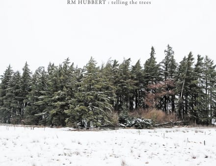 RM Hubbert - Telling The Trees (LP)