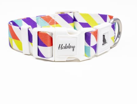 Luxe Halsband voor Honden-Verstelbaar 27 Cm-39 Cm x 2,5 Cm-Rainbow