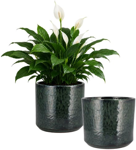 DK Design Bloempot model Green Glaze - 2x - groen - D23 x H26 cm - glanzend