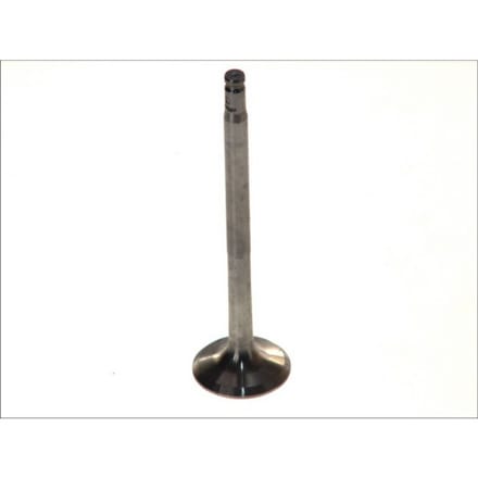 Uitlaatklep PARADOWSCY PMER020