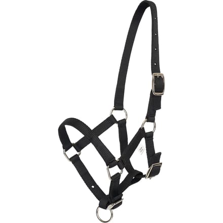 Halster voor paarden HV Polo Nena