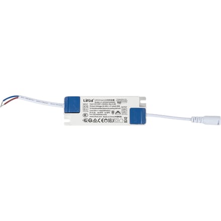 Led Driver 36W 900mA Constante Stroom Voor Led Paneel - 40000180