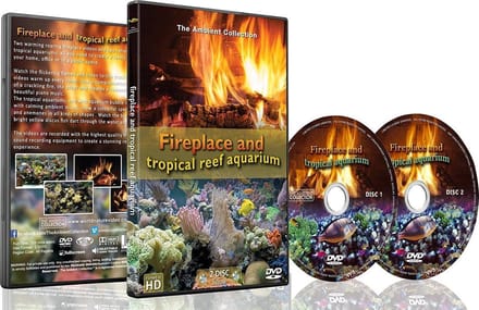 Open haard en tropisch rif aquarium