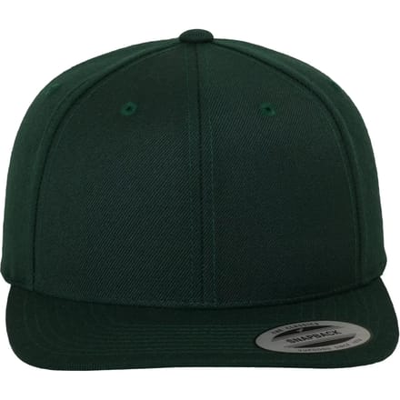 Flexfit - Classic Snapback spruce one size Snapback Pet - Groen