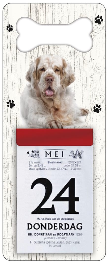 Scheurkalender 2027 Hond: Clumber Spaniel