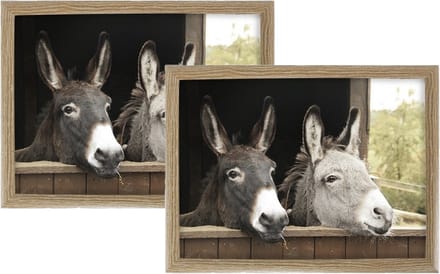 Mars & More Schootkussen Laptray - 2x - ezels print - laptray - 43 x 33 cm - Dienblad voor op schoot
