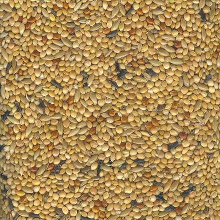 Witte molen tropischzaad prima - 1 ST à 20 kg