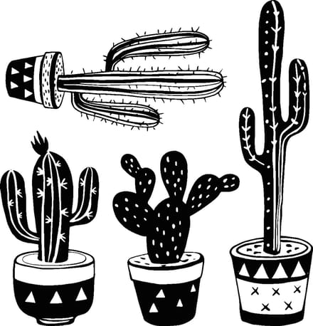 Muurstickers - Bohemian 4 Mexicaanse cactussen - Transparante achtergrond - 105x100cm