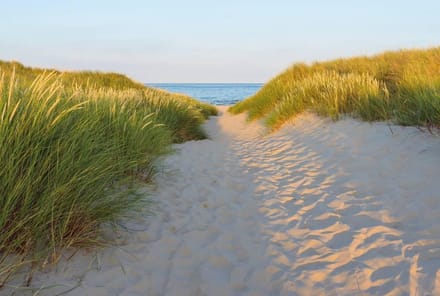 Komar Colours - Fotobehang Sandy Path - Behang - Inclusief Lijm - 368 x 254 CM.