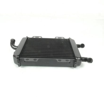 Koelradiateur voor scooter Peugeot 125 Elyseo 738202 737859 Nieuw