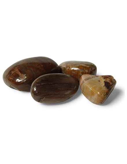 Versteend hout 50 gr. trommelstenen (mt3)