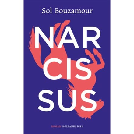 Narcissus - Sol Bouzamour