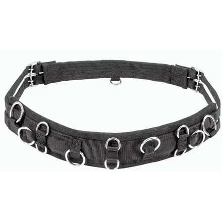 Mini-shetty paard surfaix USG