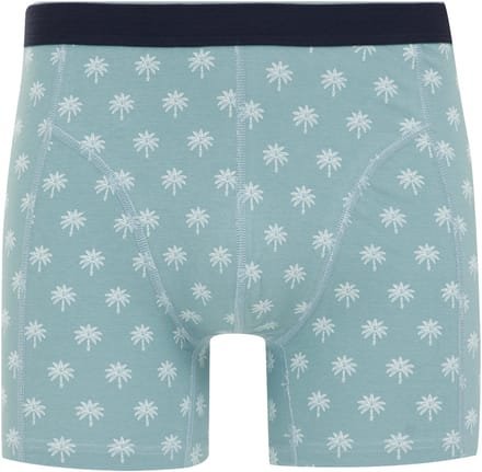 WE Fashion Heren boxer met print