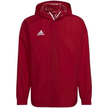 Windjack adidas -