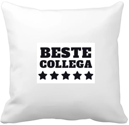 Akyol - beste collega Kussen hoes - Beste collega - teamgenoot - cadeau - 40 bij 40 cm