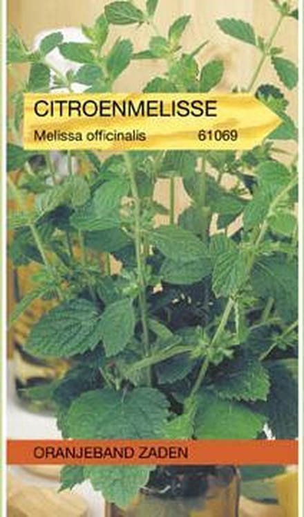 Citroenmelisse