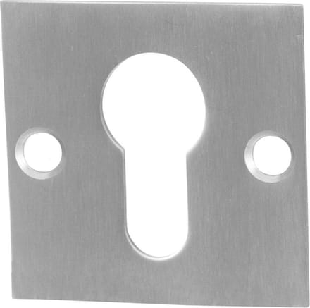 Cilinderrozet - RVS geborsteld - RVS - GPF - Binnendeur -