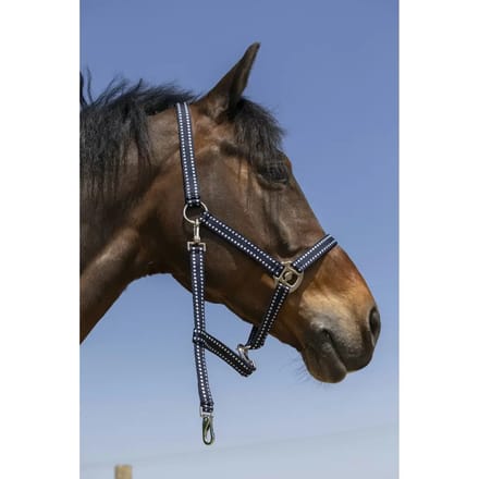 Halster voor paarden Norton Grooming